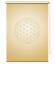 Preview: Extartiqe Duschrollo Blume des Lebens gold